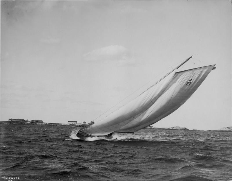 Timandra | MIT Museum