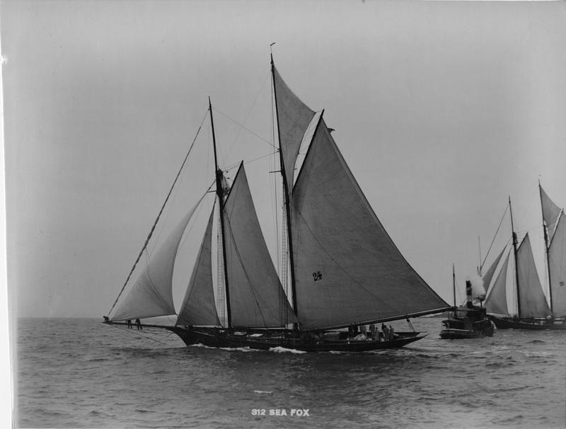 Sea Fox MIT Museum Sea fox mit museum